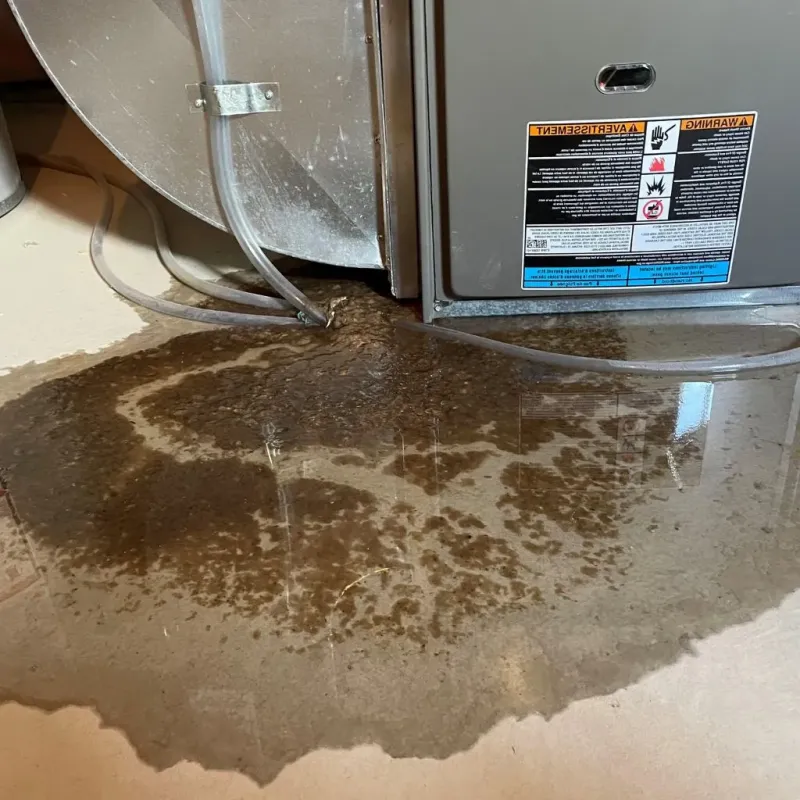 Pipe Burst and Leak Restoration in Goochland, VA